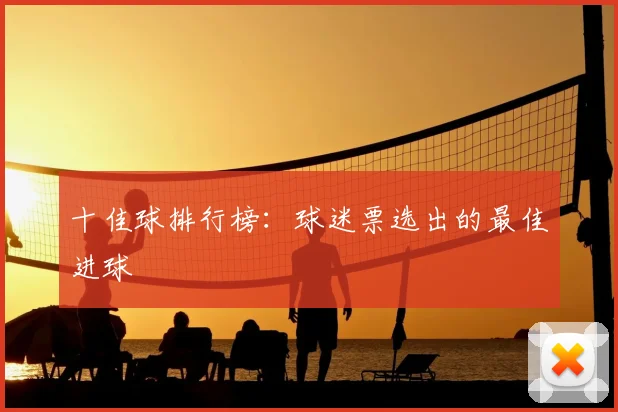 十佳球排行榜：球迷票选出的最佳进球