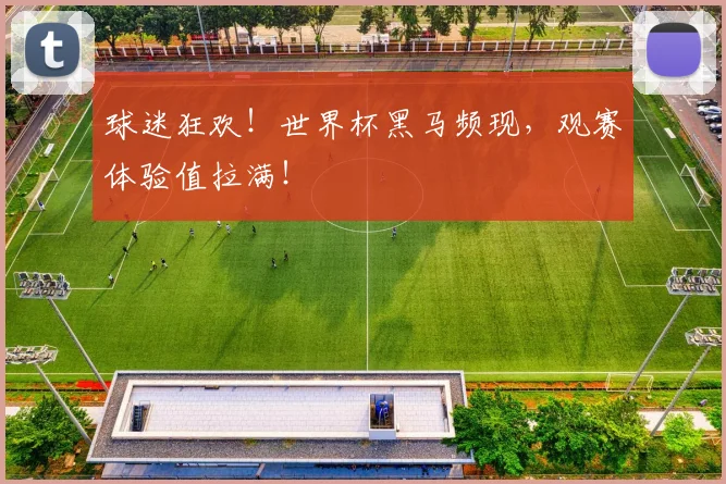 球迷狂欢!世界杯黑马频现,观赛体验值拉满!